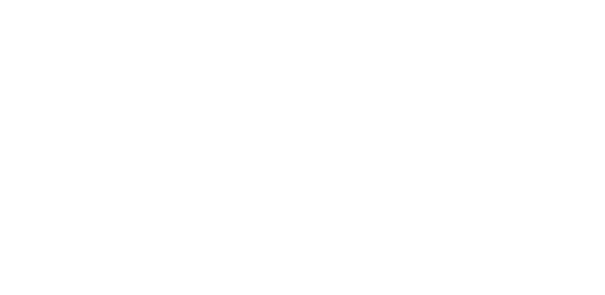 Sebrae