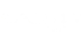Speakeasy Berlin